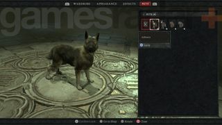 Diablo 4 Pets